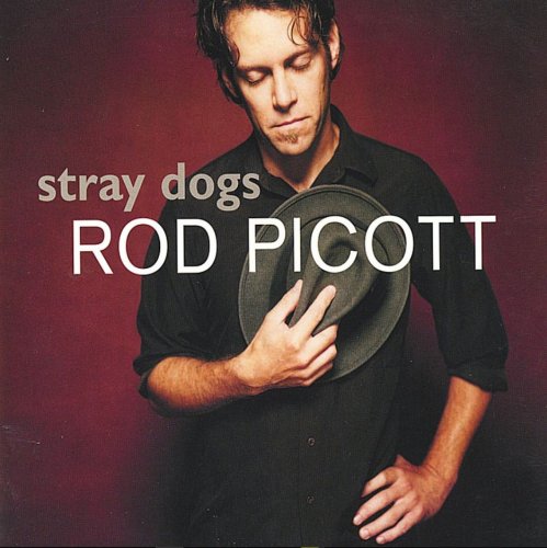 Rod Picott - Stray Dog (2002)