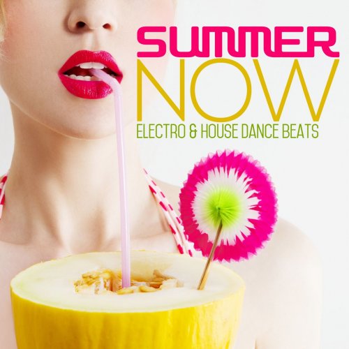 Summer Now (Electro & House Dance Beats) (2015)