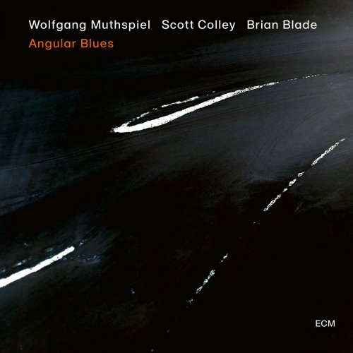 Wolfgang Muthspiel, Scott Colley, Brian - Angular Blues (2020) [Hi-Res]