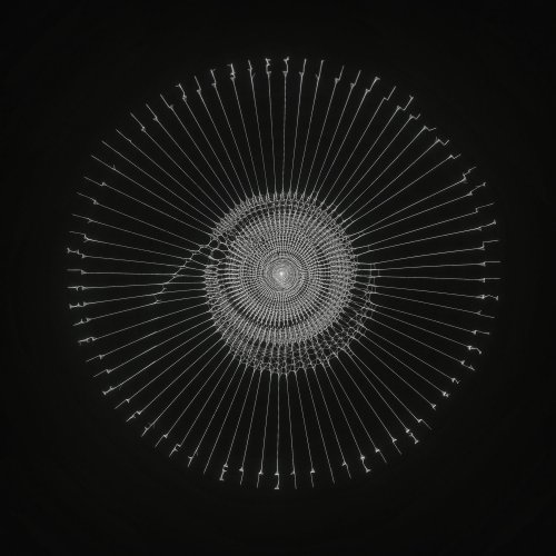 The Kite String Tangle - C()D3X (2020) [Hi-Res]