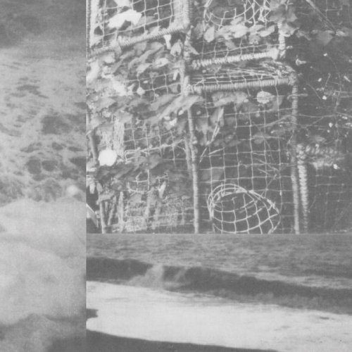 Cremation Lily - The Processes And Instruments Of Normal People (2020 Remaster) (2020)