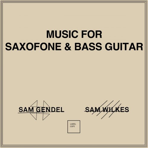 Sam Gendel & Sam Wilkes - Music for Saxofone & Bass Guitar (2018)
