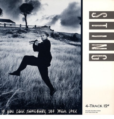 Sting - If You Love Somebody Set Them Free (1985) LP