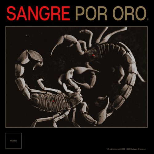 Developer - Sangre Por Oro (2020)