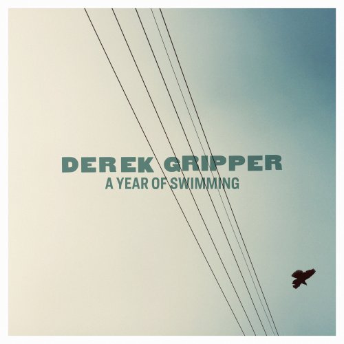 Derek Gripper - A Year of Swimming (2020) [Hi-Res]