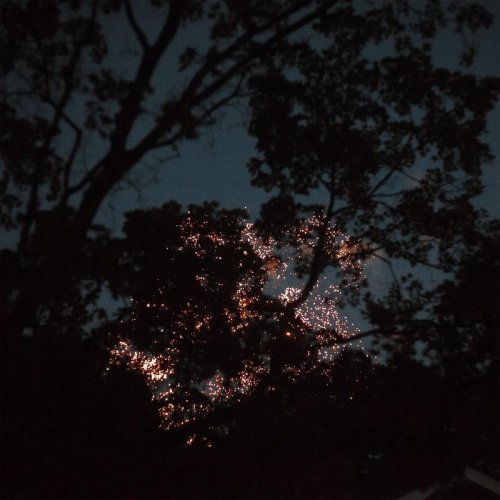 Gleemer - Down Through (2020)