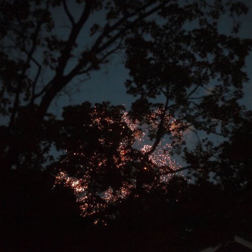 Gleemer - Down Through (2020) FLAC