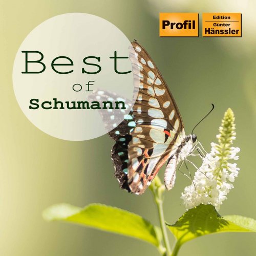 Jenö Jando - Best of Schumann (2020)