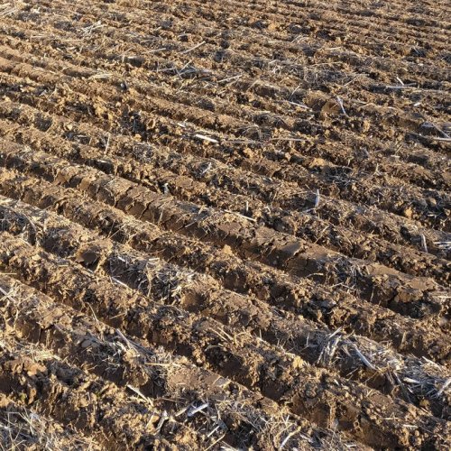 Furrows - A Thin Veneer (2020)