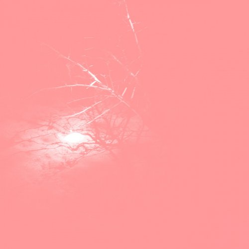 Pinkcourtesyphone - Harbor Darkness (2020)