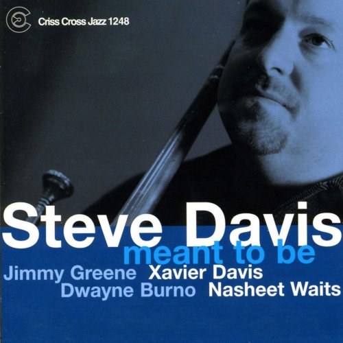 Steve Davis - Meant To Be (2004)
