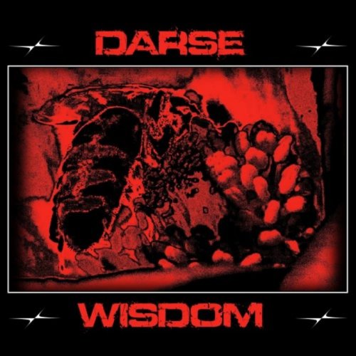 Darse - Wisdom (2020)