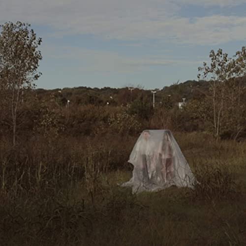 The Harmaleighs - Barely Making Sense (2020) Hi Res