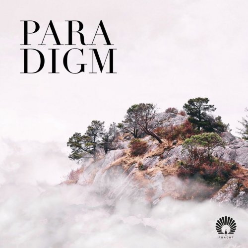 Oliver Schories - Paradigm (2020)