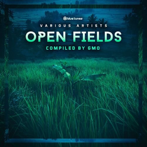 VA - Open Fields (2020)