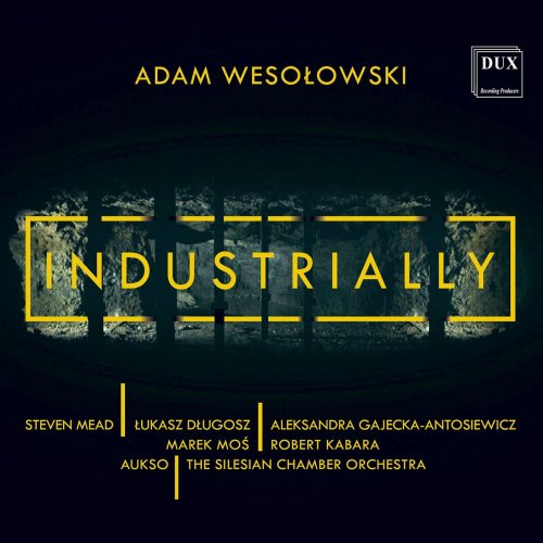 Adam Wesolowski - Industrially (2020)
