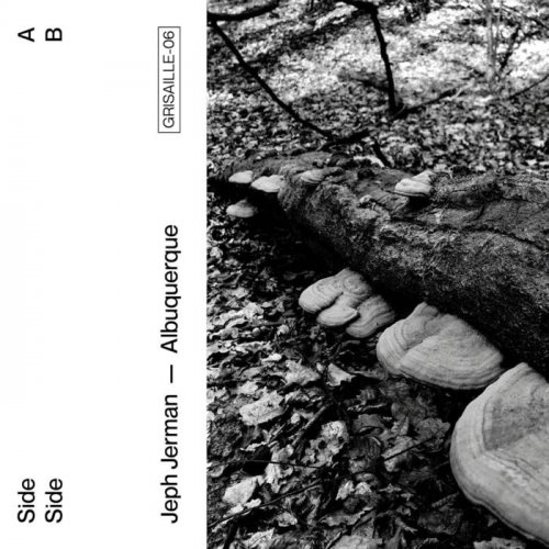Jeph Jerman - Albuquerque (2020)