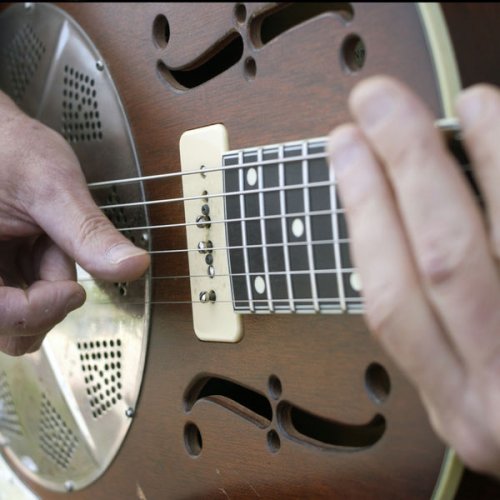 Doug MacLeod - Doug's Slide Guitar (2015) flac