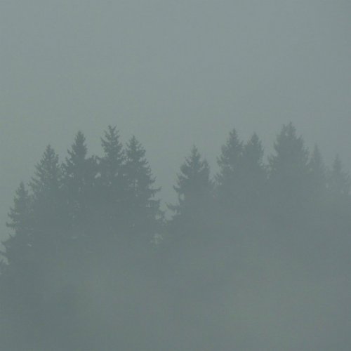 Max Loderbauer - Donnerwetter (2020)