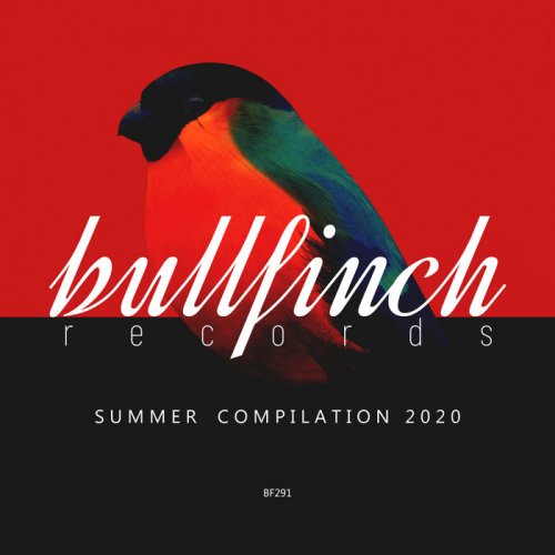 VA - Bullfinch Summer 2020 Compilation (2020)