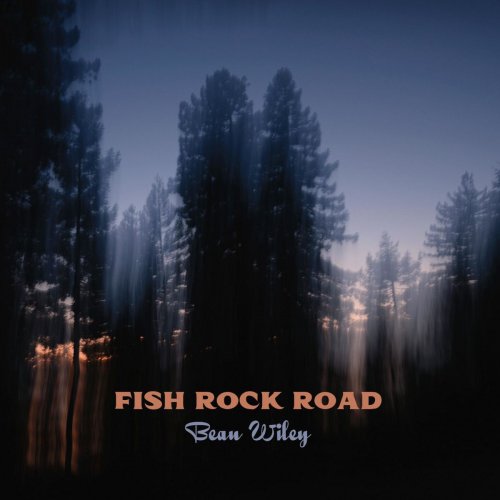 Beau Wiley - Fish Rock Road (2020)