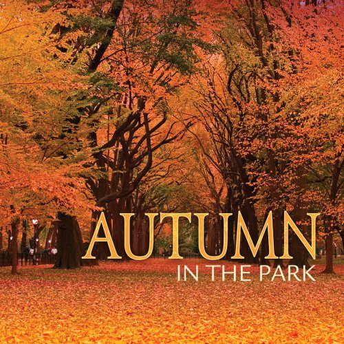 VA - Autumn In The Park (2010)