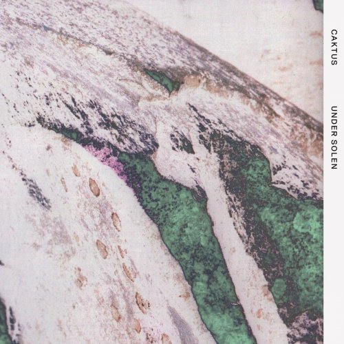 Caktus - Under Solen (2020) Hi-Res