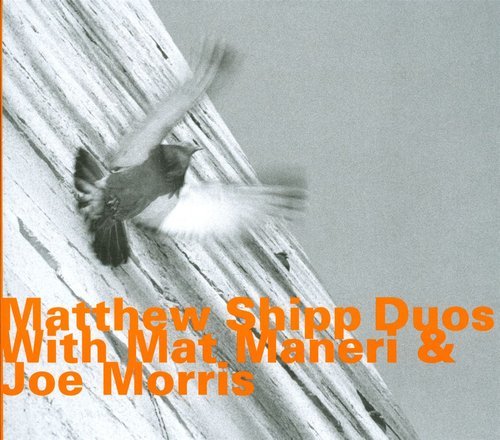 Matthew Shipp - Duos with Mat Maneri & Joe Morris (2011)