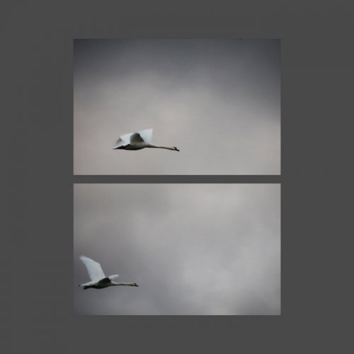 Downscope - Frames Per Second (2020)