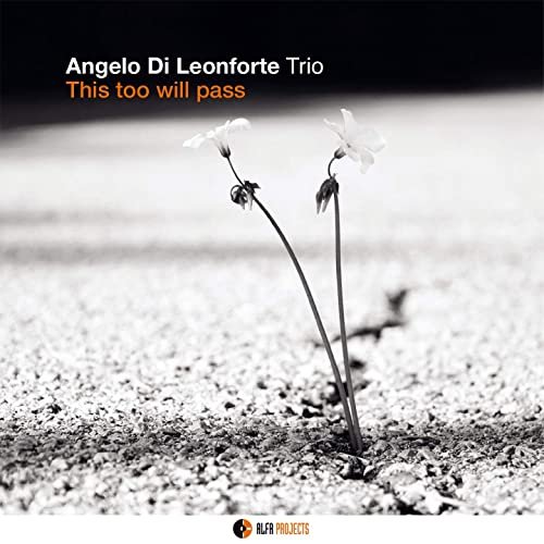 Angelo Di Leonforte Trio - This Too Will Pass (2020)
