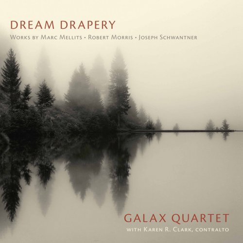 Galax Quartet, Karen R. Clark - Dream Drapery (2020) [Hi-Res]