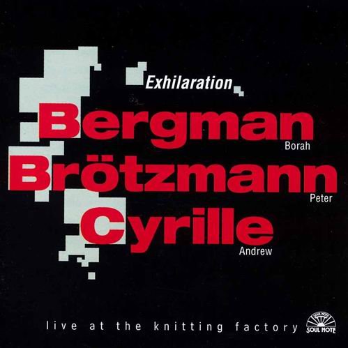 Borah Bergman, Peter Brötzmann, Andrew Cyrille - Exhilaration (1997)