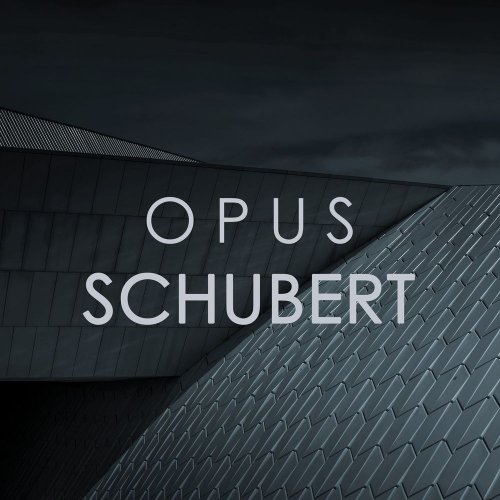 VA - Opus Schubert (2020)