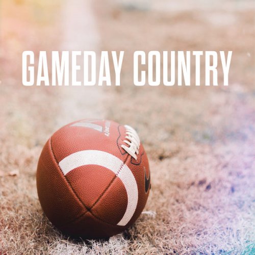 VA - Gameday Country (2019) flac