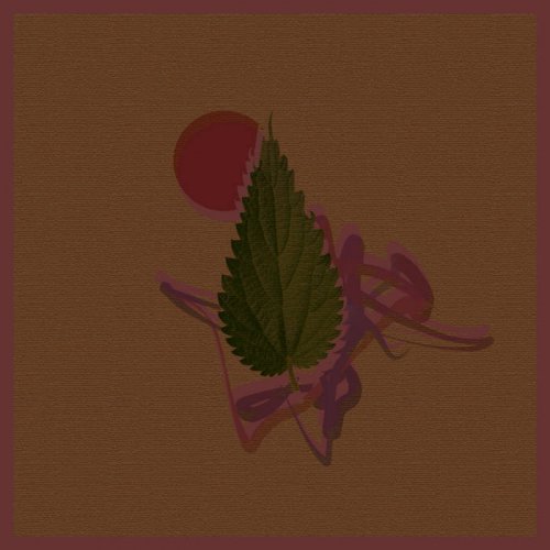 Wataru Iwata - Real-time flows (2020)
