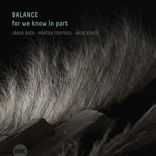 balance - For We Know in Part (2020)