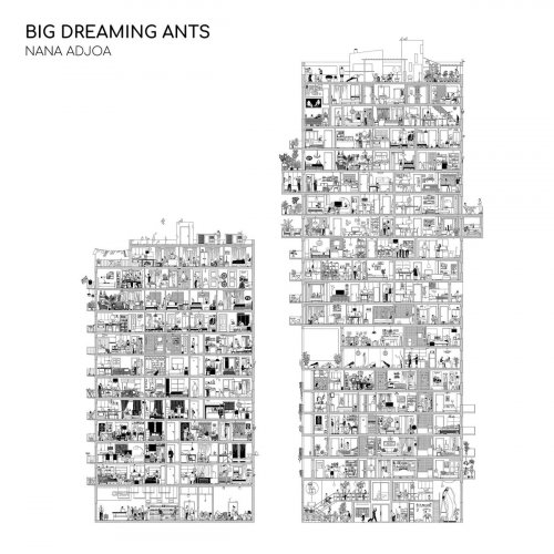 Nana Adjoa - Big Dreaming Ants (2020)