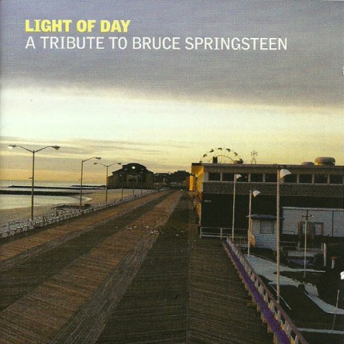VA - Light of Day: A Tribute To Bruce Springsteen (2013) flac