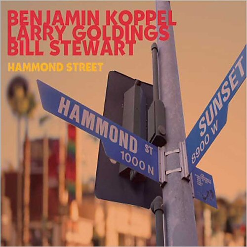Benjamin Koppel, Larry Goldings, Bill Stewart - Hammond Street (2006)