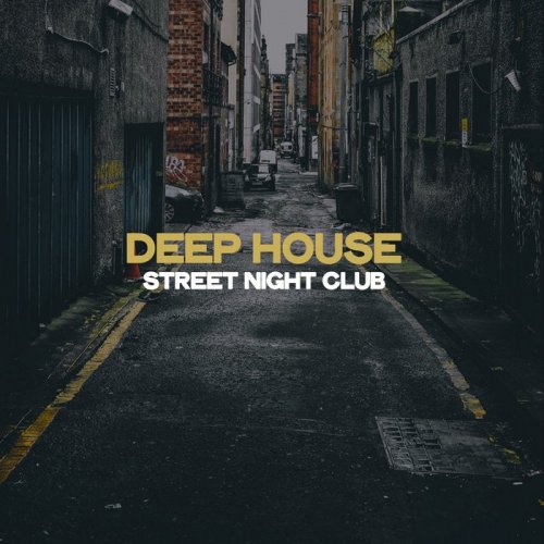 VA - Deep House Street Night Club (2020) flac