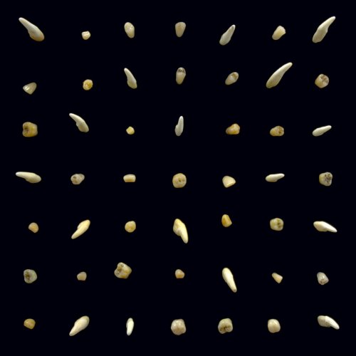 clipping. - Visions of Bodies Being Burned (2020)