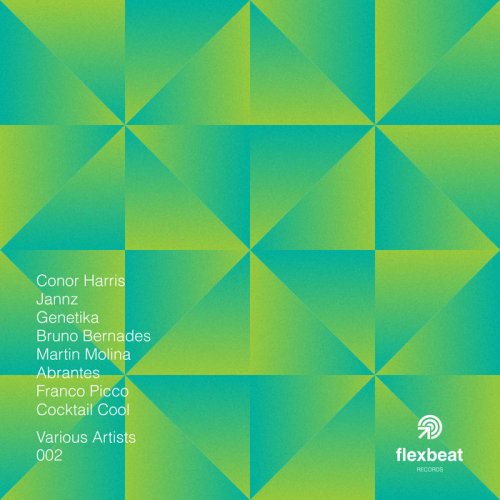 VA - Flexbeat Records – Various Artists Vol. 2 (2020)