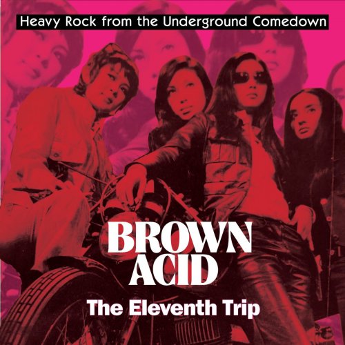 Various Artists - Brown Acid - The Eleventh Trip (2020)