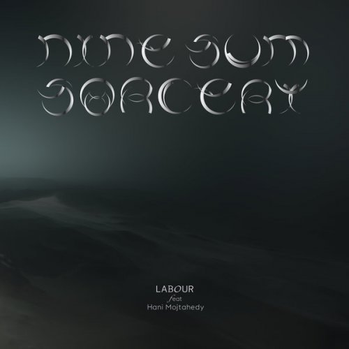 LABOUR feat. Hani Mojtahedy - nine-sum sorcery (2020)