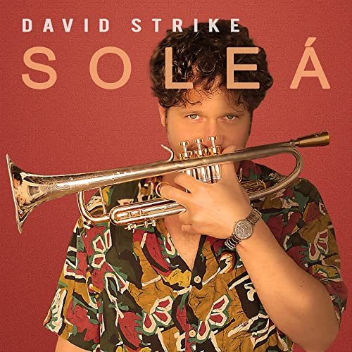 David Strike - Soleá (2020)