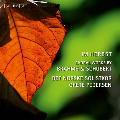 Norwegian Soloists Choir, Grete Pedersen - Im Herbst: Choral Works by Brahms & Schubert (2011) Hi-Res