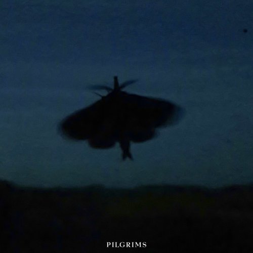 CS Nielsen - Pilgrims (2020)