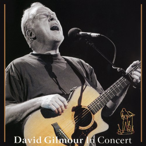 David Gilmour - David Gilmour In Concert (2002)