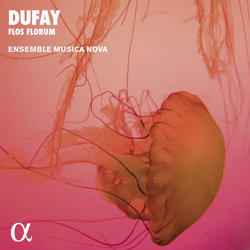 Ensemble Musica Nova - Dufay: Flos Florum. Motets, Hymns, Antiphons (2005)