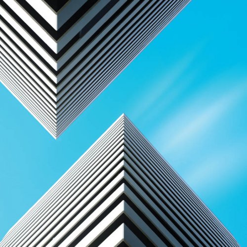 Snow Palms - Land Waves (2020)